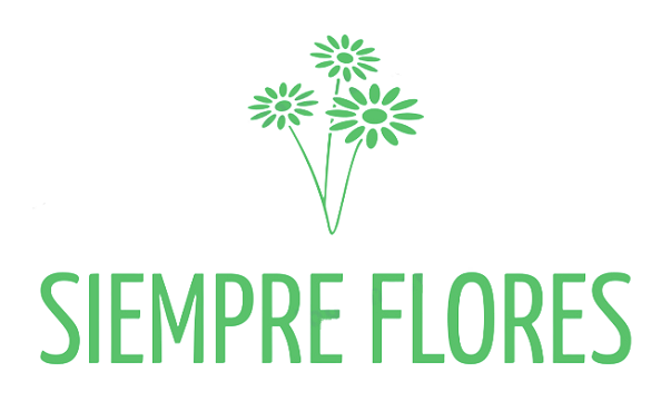 Floristería en Almería. Enviar flores a Almería